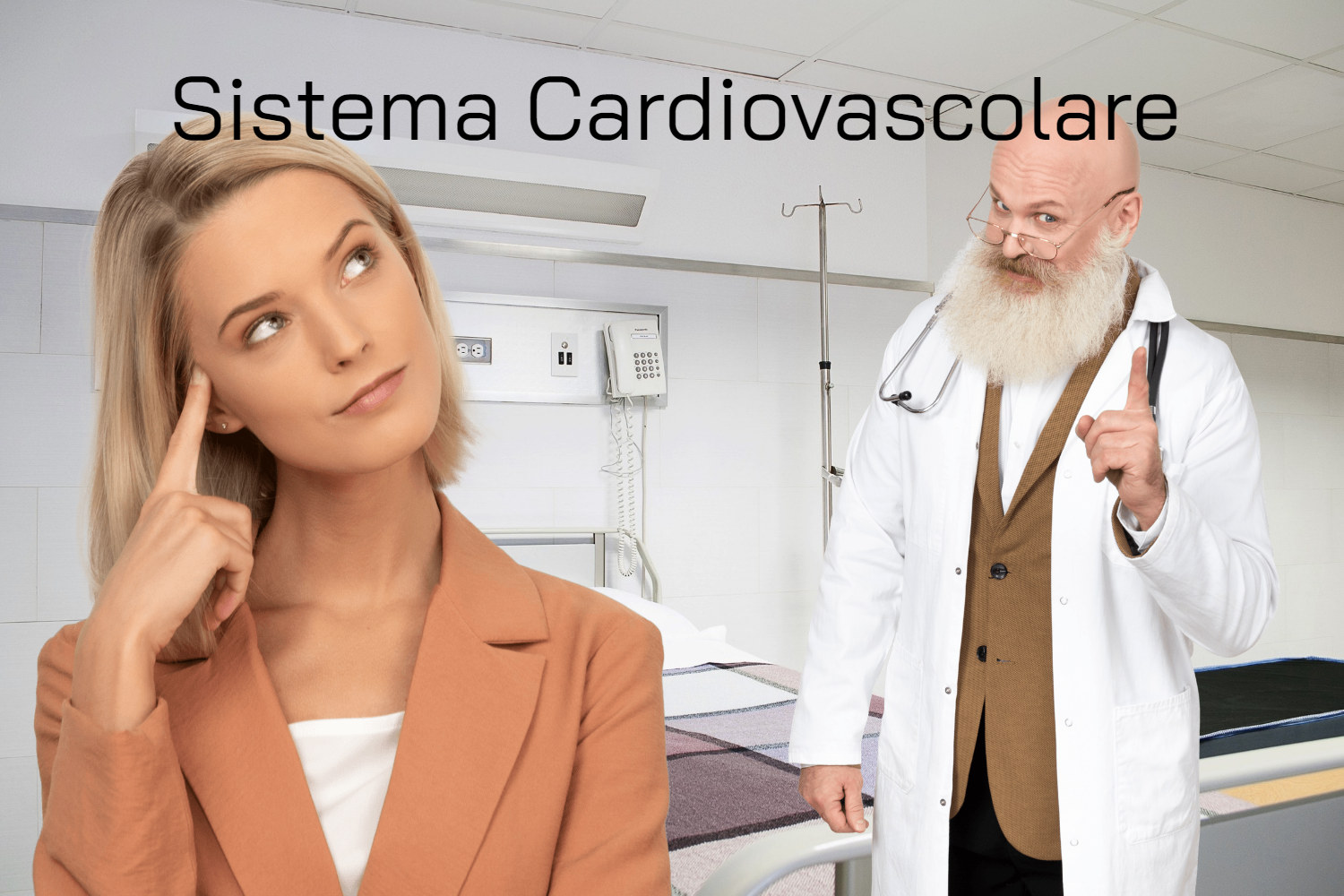 Sistema Cardiovascolare