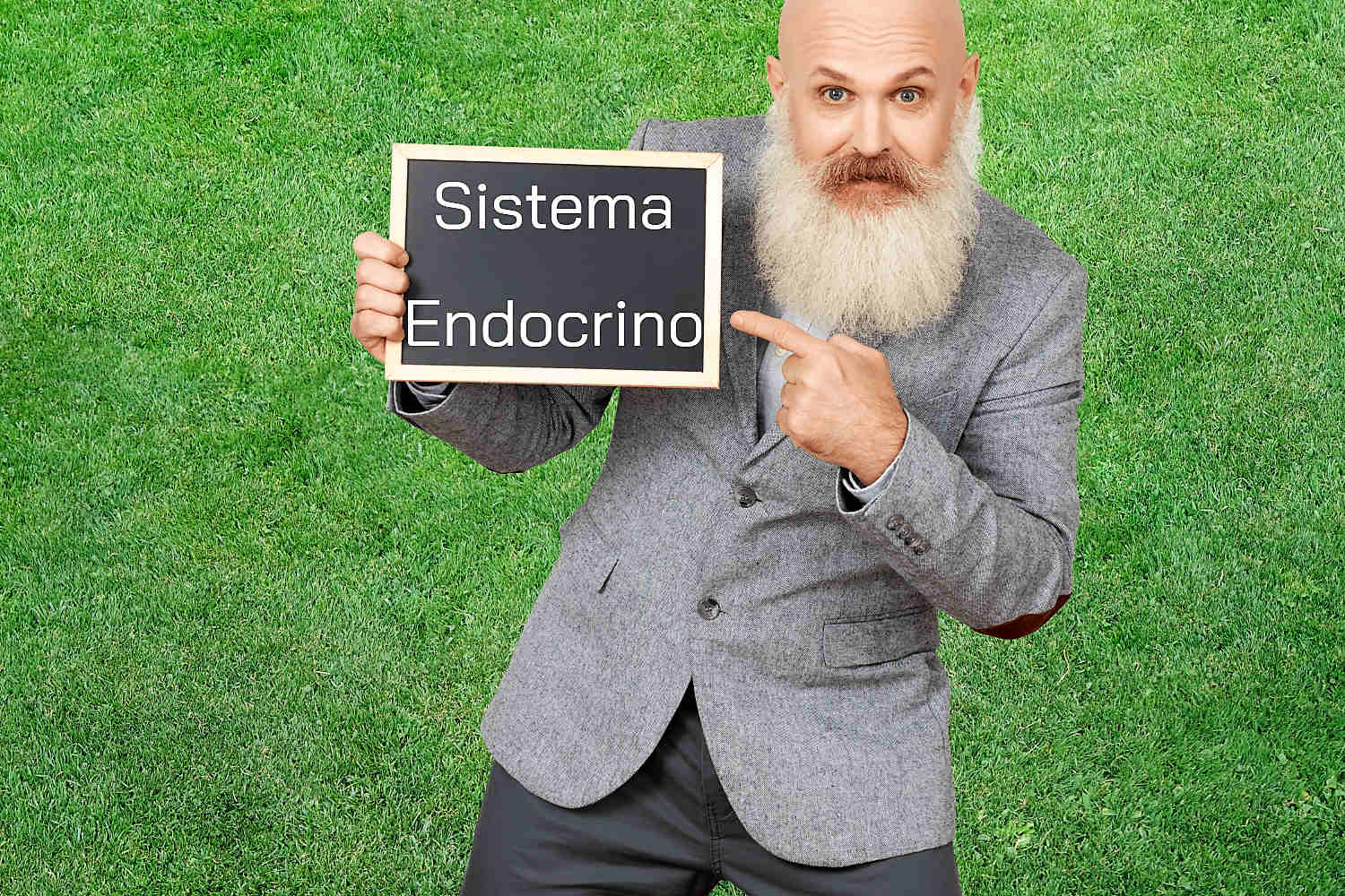 Sistema Endocrino