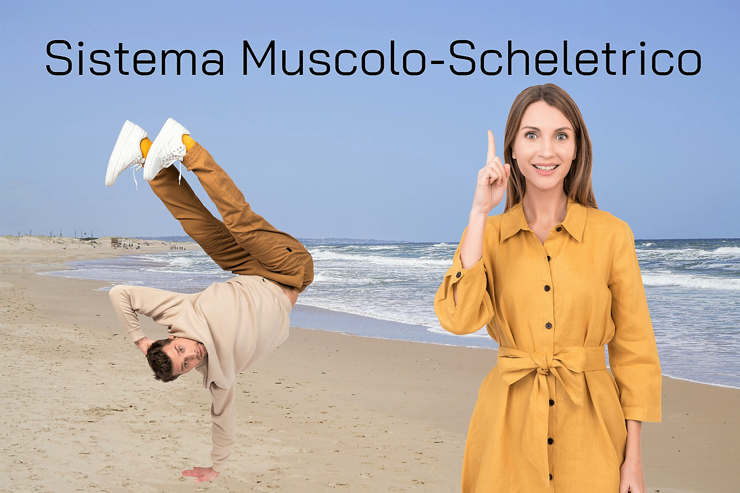 Sistema Muscolo-Scheletrico
